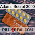 Adams Secret 3000 42